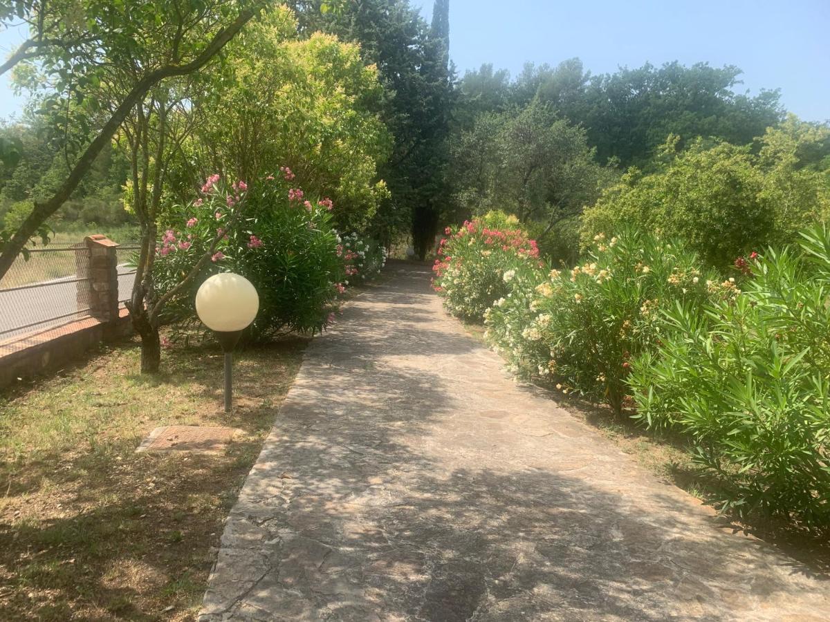 Villa San Marco Chambre D Hotes 洛尔格 外观 照片